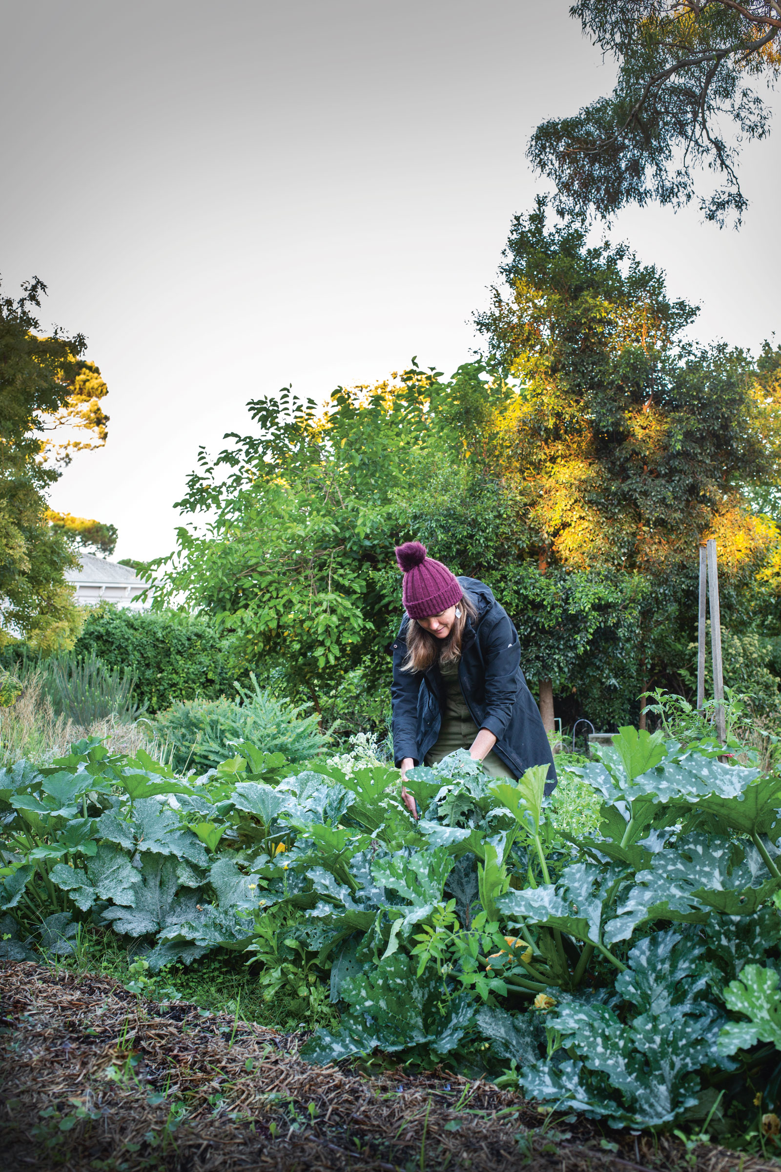 Heide Harvest: Father's Day Garden Tour